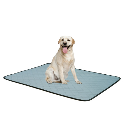 Dog Training Urine Pad 01