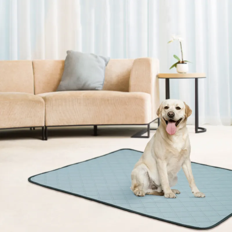 Dog Training Urine Pad