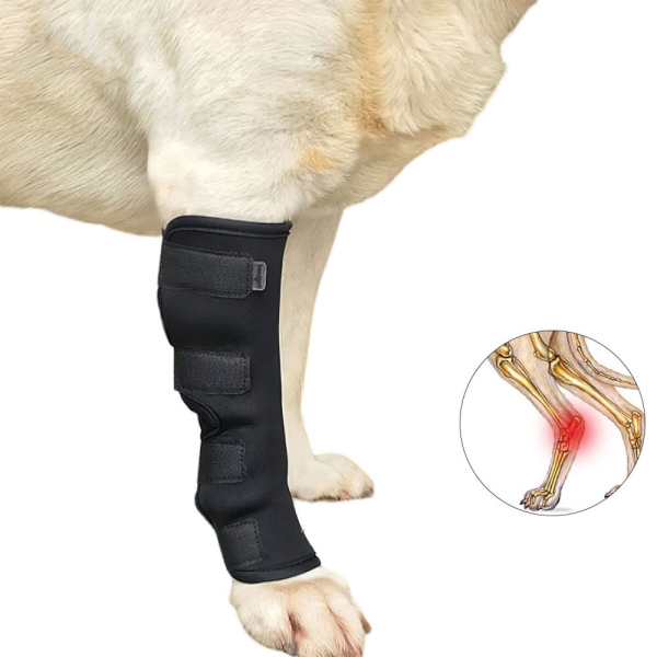 DOGLEMI Dog Leg Covers Front Leg Hind Leg Joints For Tear ACL Knee Pads