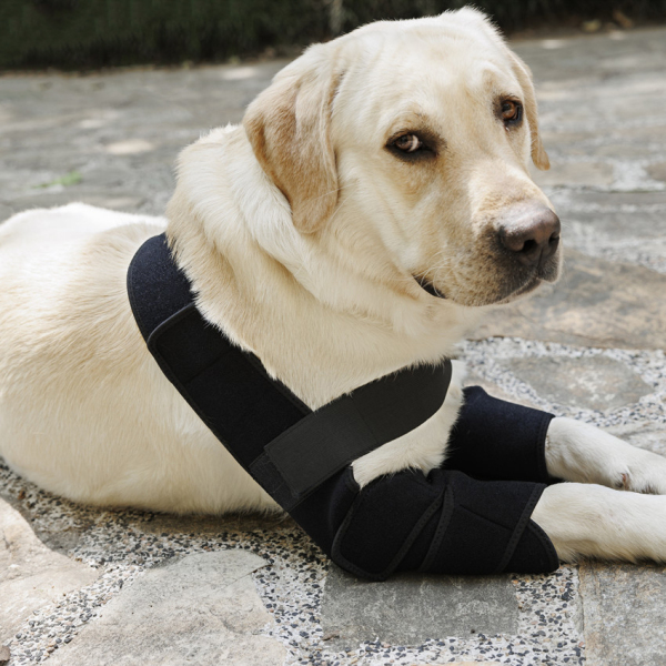 Dog Leg Wrap for Prevent Licking Chewing
