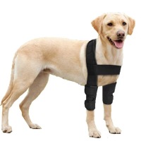 Dog Leg Wrap for Prevent Licking Chewing