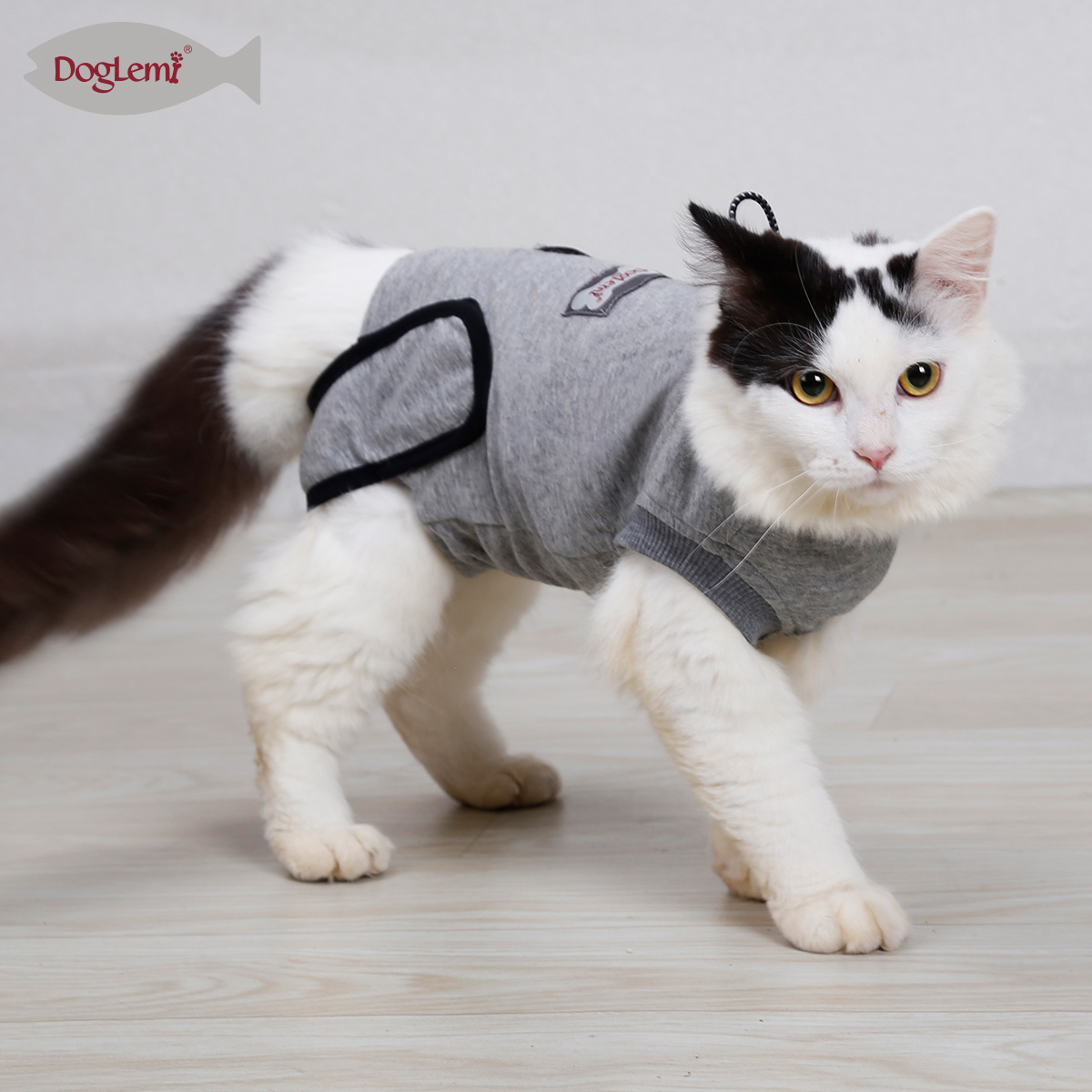 DOGLEMI Cat Recovery Suit for Small Medium Cats