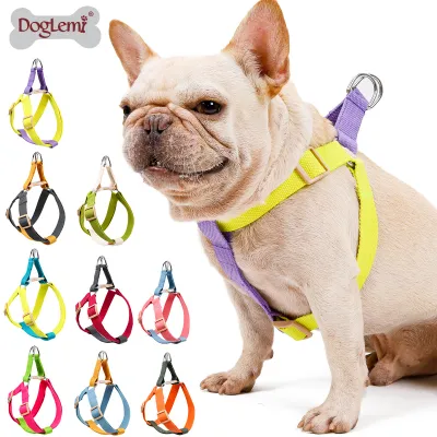 DOGLEMI Colorblock Walk Dog Harness 01