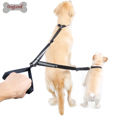 DOGLEMI Double Explosion-proof Dog Training Leashs 01