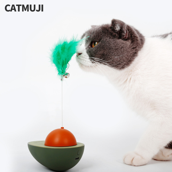 CATMUJI Cat Teaser Wands Interactive Cat Toys Motorized Cat Wands Attached With Feathers