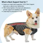 DOGLEMI Back Brace for Dogs With IVDD