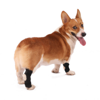 Dog Knee Brace For Fix Hock Joint Sprains Dog Leg Brace With Supporting Metal Bars