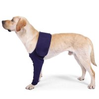 Dog Front Legs Dog Anti Licking Sleeves For Protect Wounds From Licking And Dirt
