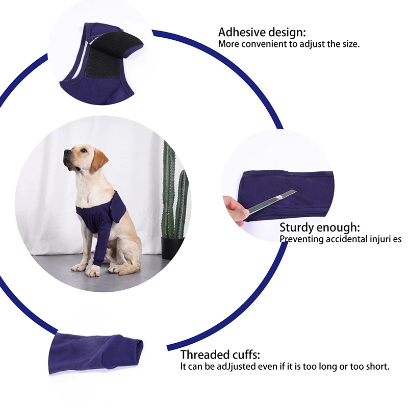 Dog shorts sales to prevent licking