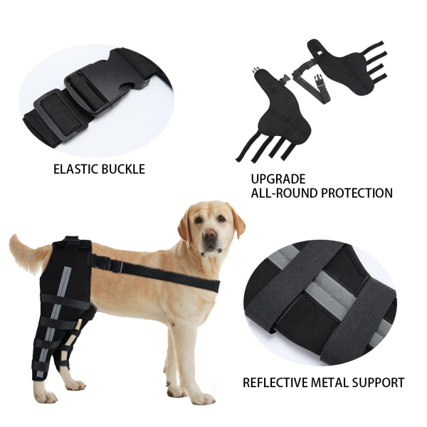 Dog Acl Braces Fix Joint Damage Knee Braces for Dogs