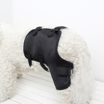 Dog Leg Wrap Sleeve for Anti-licking Biting 02