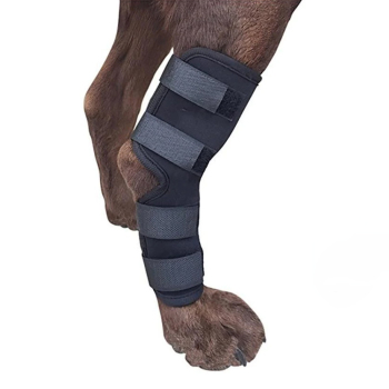 Dog Leg Braces for Fix Hock Wrist Sprains