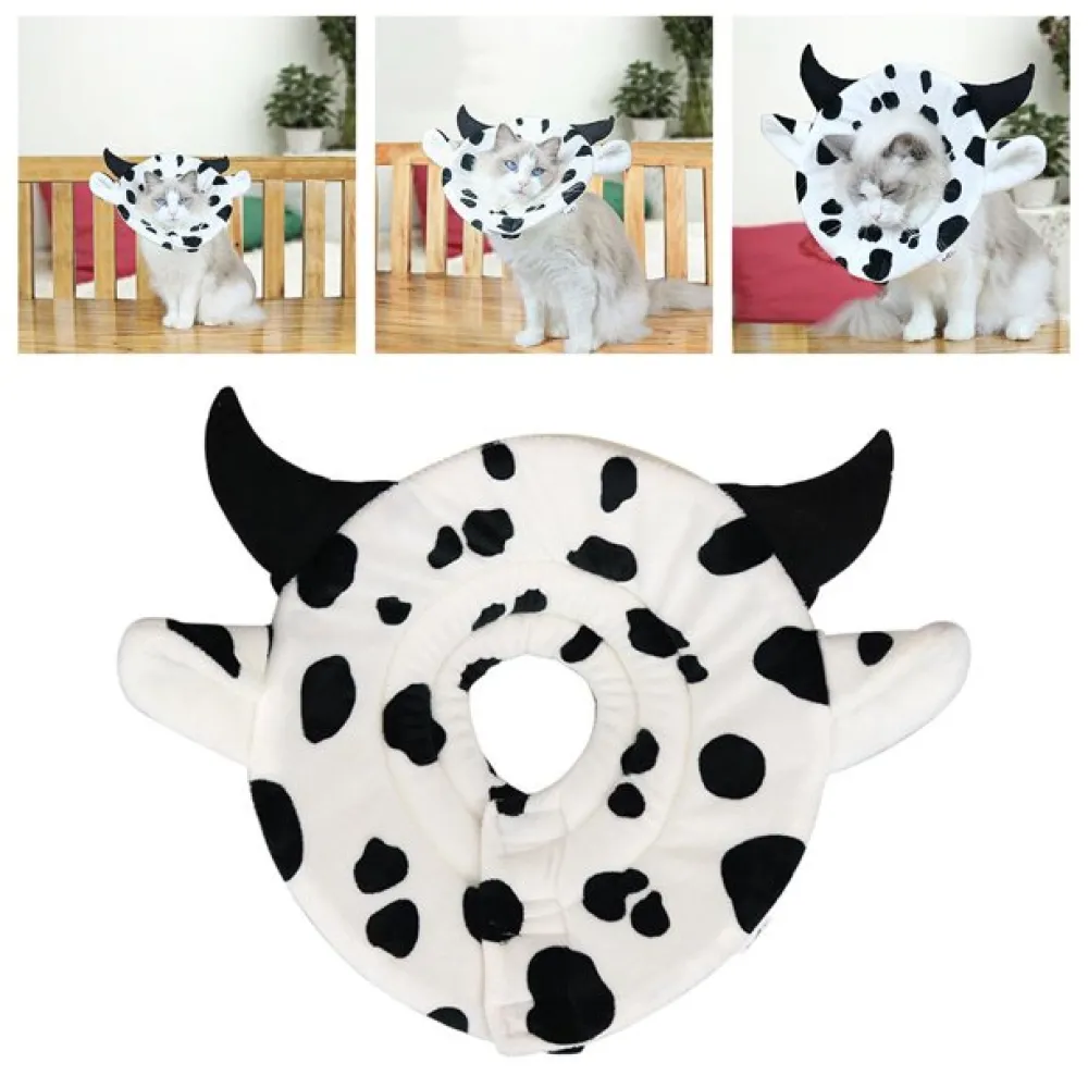 Soft Cone For Cats