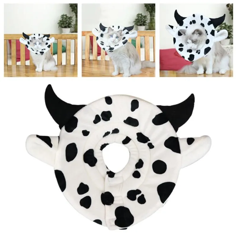 Soft Cone For Cats