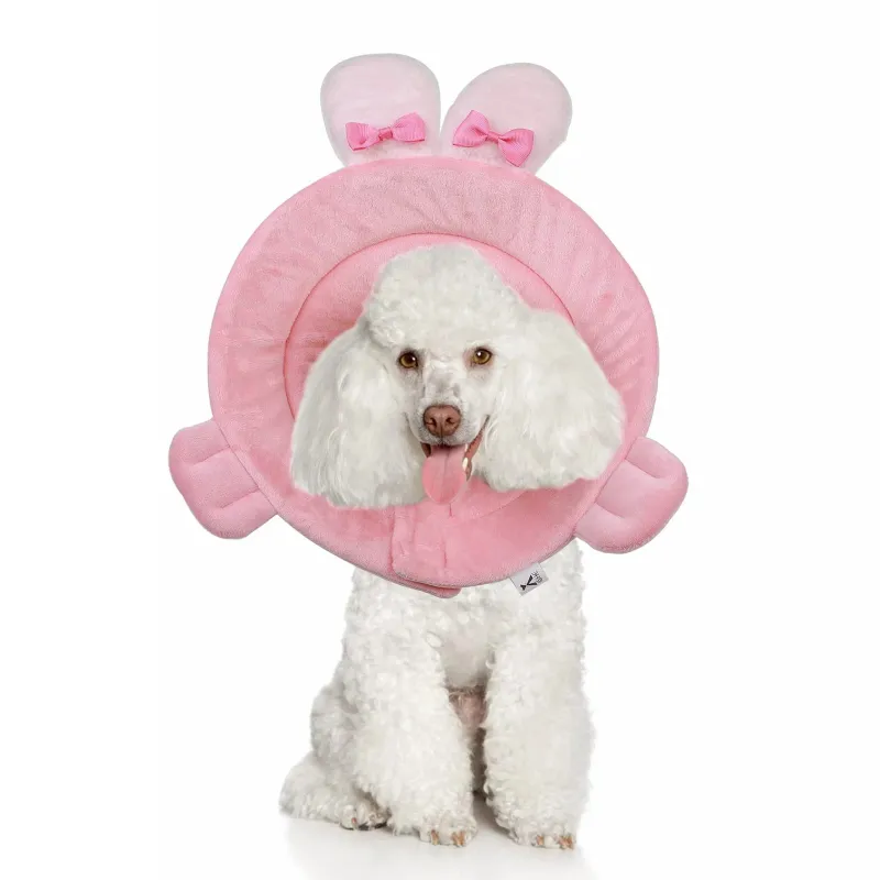 Cat Dog Cones for Rabbit Shaped