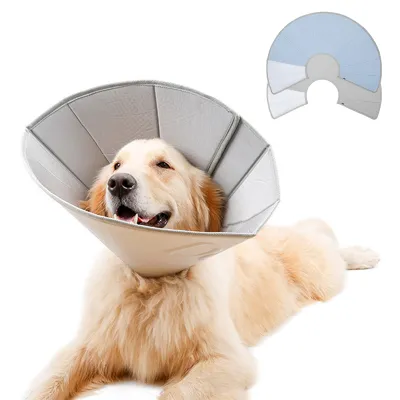 DOGLEMI Cat Dog Recovery Collar for Anti Lick Bite 02