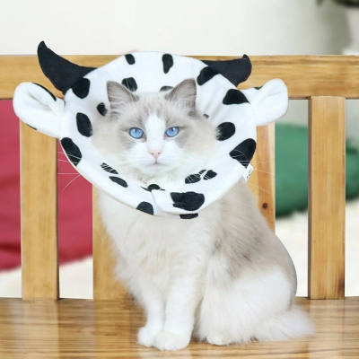 Soft Cone For Cats 02