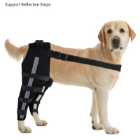 Dog Hind Leg Cruciate Ligament ACL Injury Joint Sprain Fixed Dog Hind Leg Reflective Knee Braces