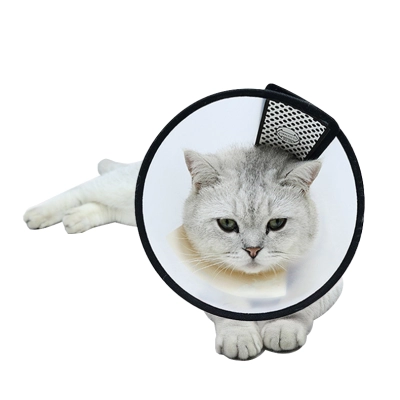 Elizabethan Collar for Cat Dog 02