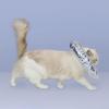 Cat Recovery Collar for Postoperative