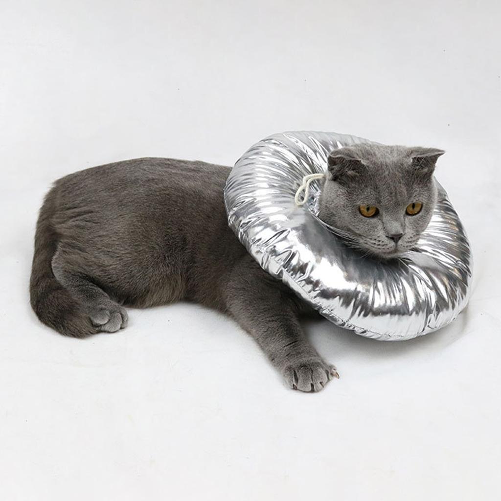 Cat Recovery Collar for Postoperative
