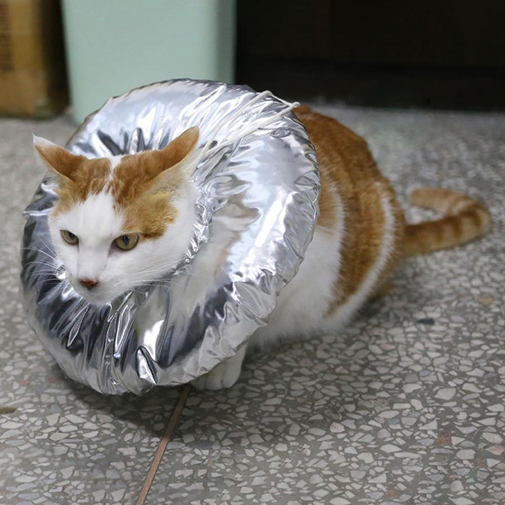 Cat Recovery Collar for Postoperative