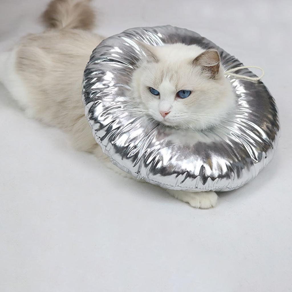 Cat Recovery Collar for Postoperative