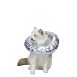 Cat Recovery Collar for Postoperative