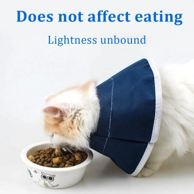 Soft Cone For Cats Recovery After Surgery 02