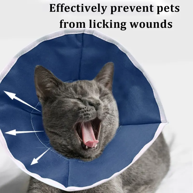 Soft Cone For Cats Recovery After Surgery02