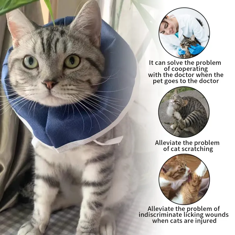 Soft Cone For Cats Recovery After Surgery03