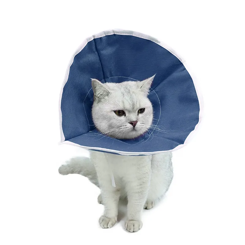 Soft Cone For Cats Recovery After Surgery00