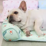Dog Cooling Mat Breathable Bed With Pillow