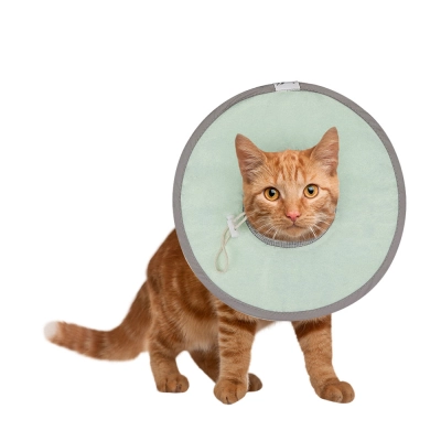 Cat Cones for Anti-licking Biting 01