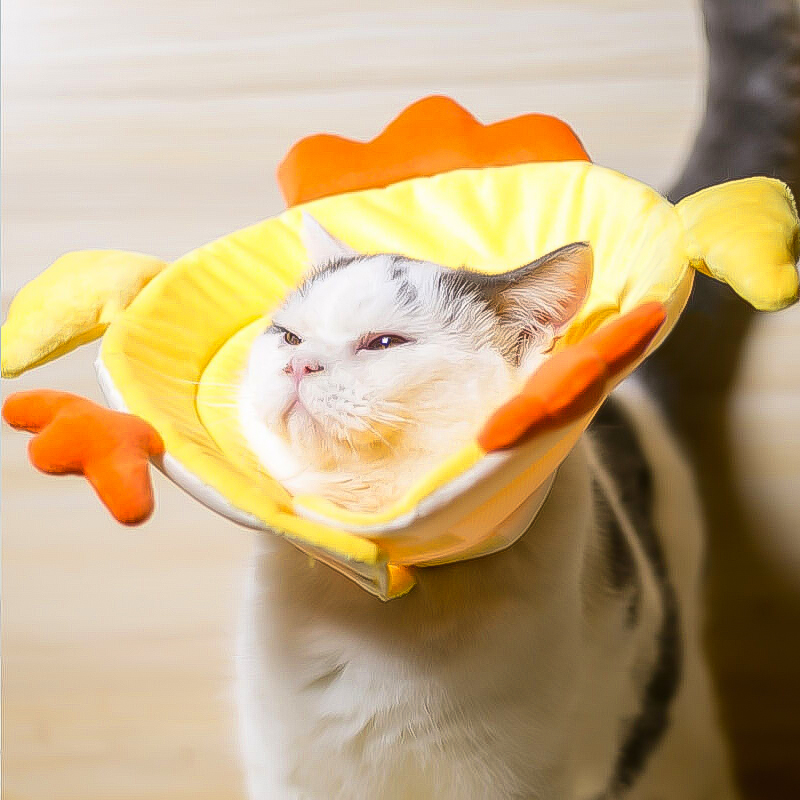 Cat Recovery Collar for  Postoperative Recovery