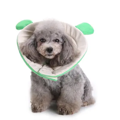 Dog Cones Recovery Collar 01