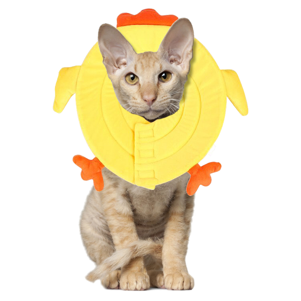 Cat Recovery Collar for Postoperative Recovery Crawlpaw