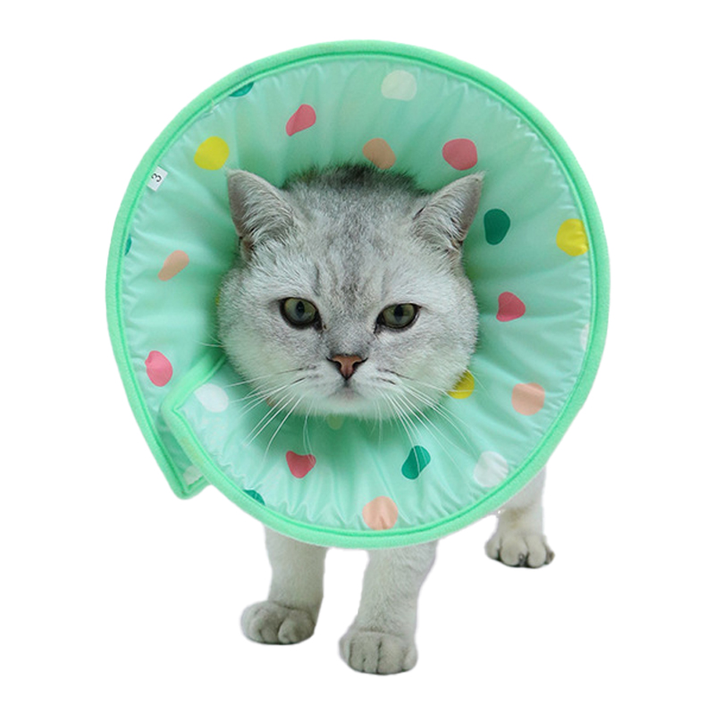 Cat Cones for Anti-licking