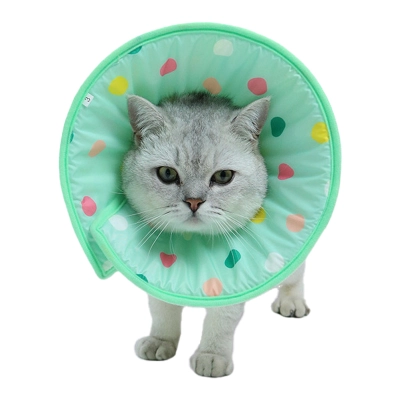 Cat Cones for Anti-licking 01