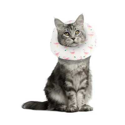 Cat Recovery Collar for After Surgery 01