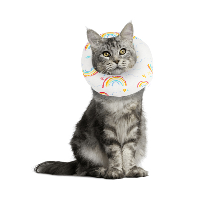 Cat Recovery Collar for After Surgery 02