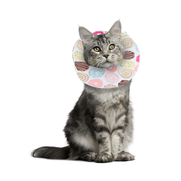 Cat Recovery Collar for After Surgery