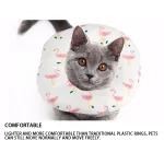 Cat Recovery Collar for After Surgery