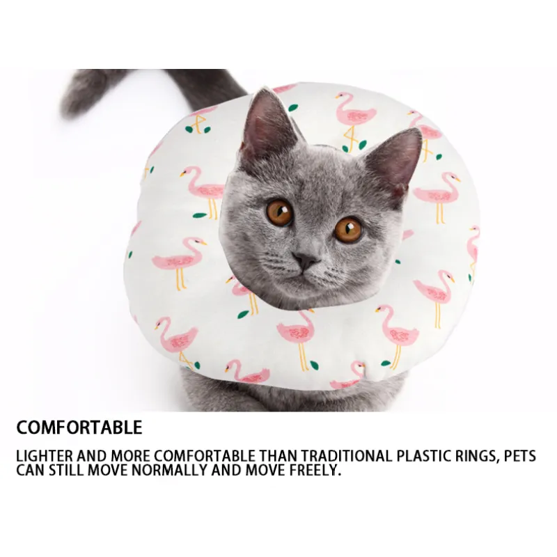 Cat Recovery Collar for After Surgery