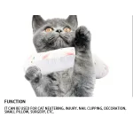 Cat Recovery Collar for After Surgery