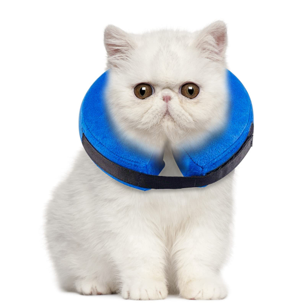 Inflatable Cat Dog Collar for Postoperative Recovery Crawlpaw