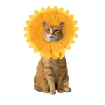 Sunflower Cats Dogs Cones