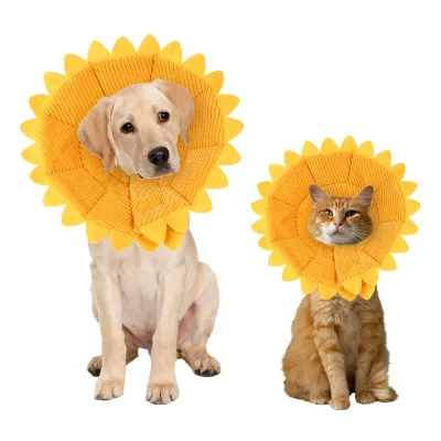 Sunflower Cats Dogs Cones 01