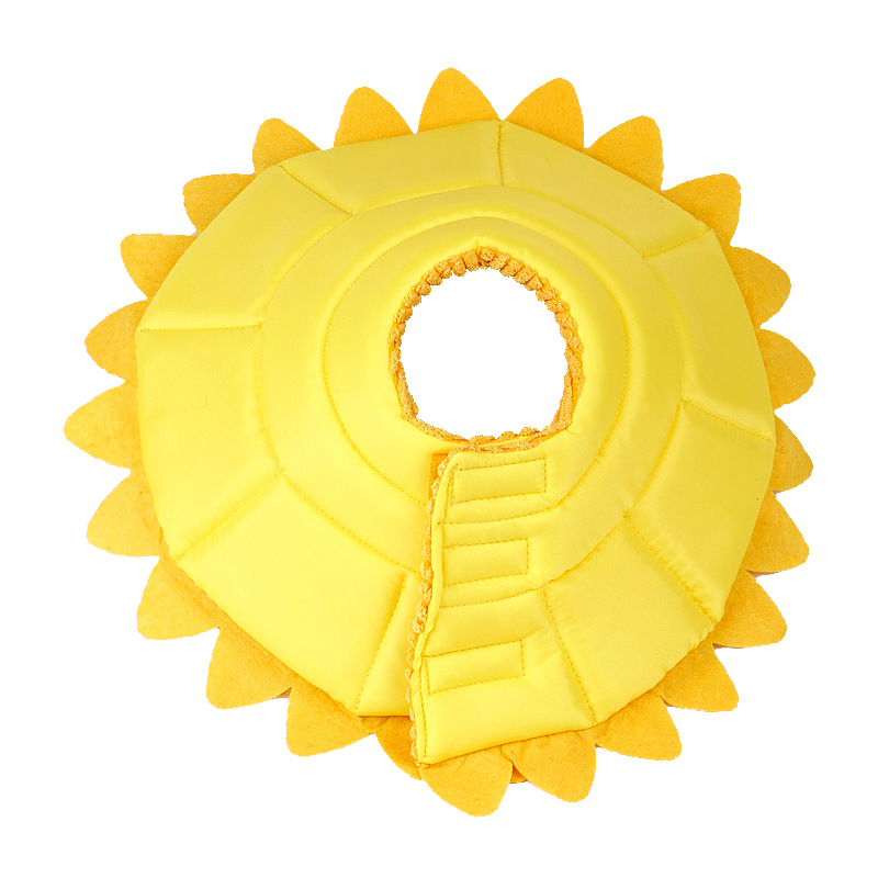 Sunflower Cats Dogs Cones - Crawlpaw