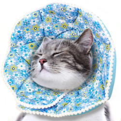 Elizabethan Collar for Cats Dogs